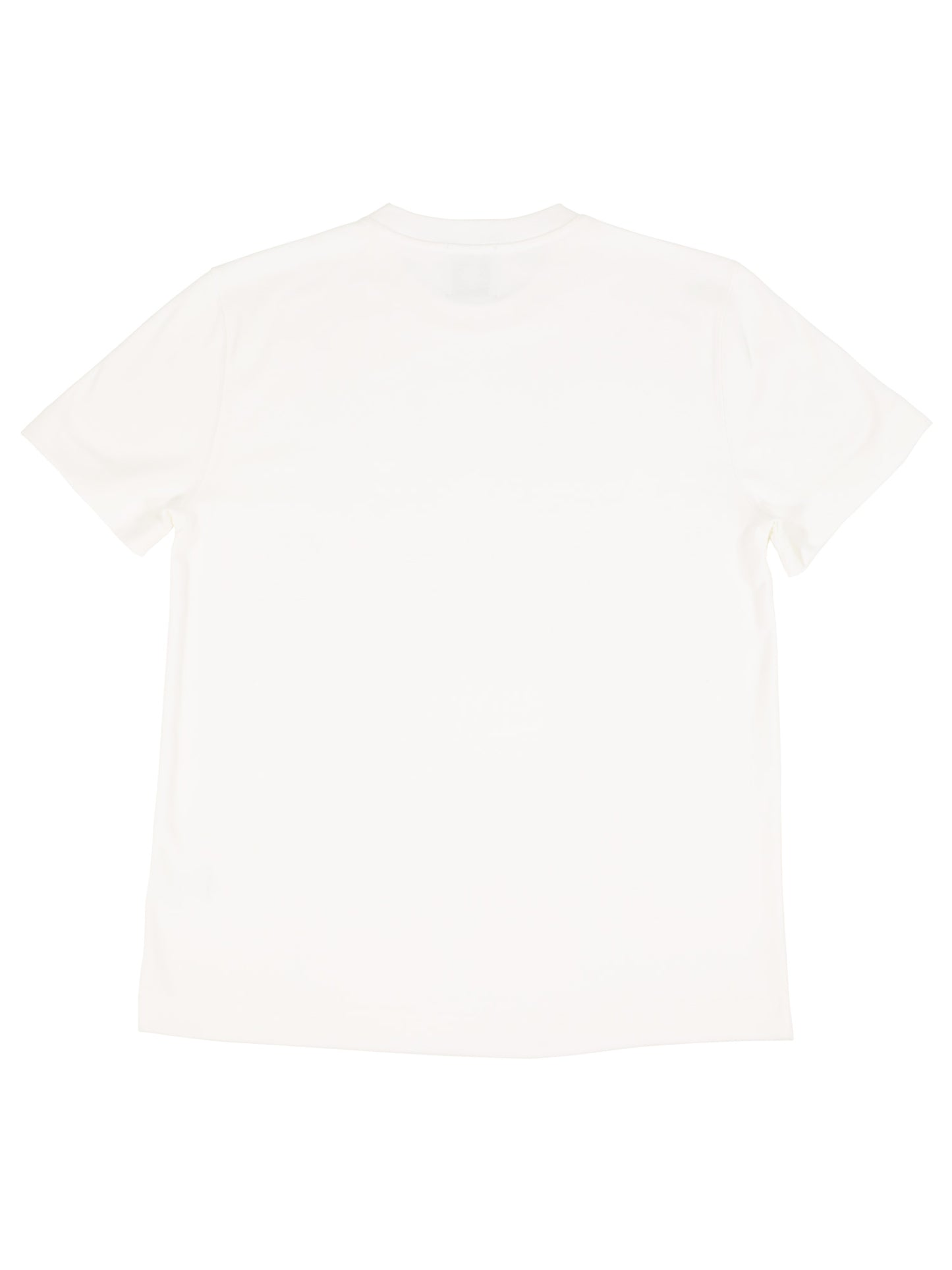 Regular fitted Basic Tee shirts