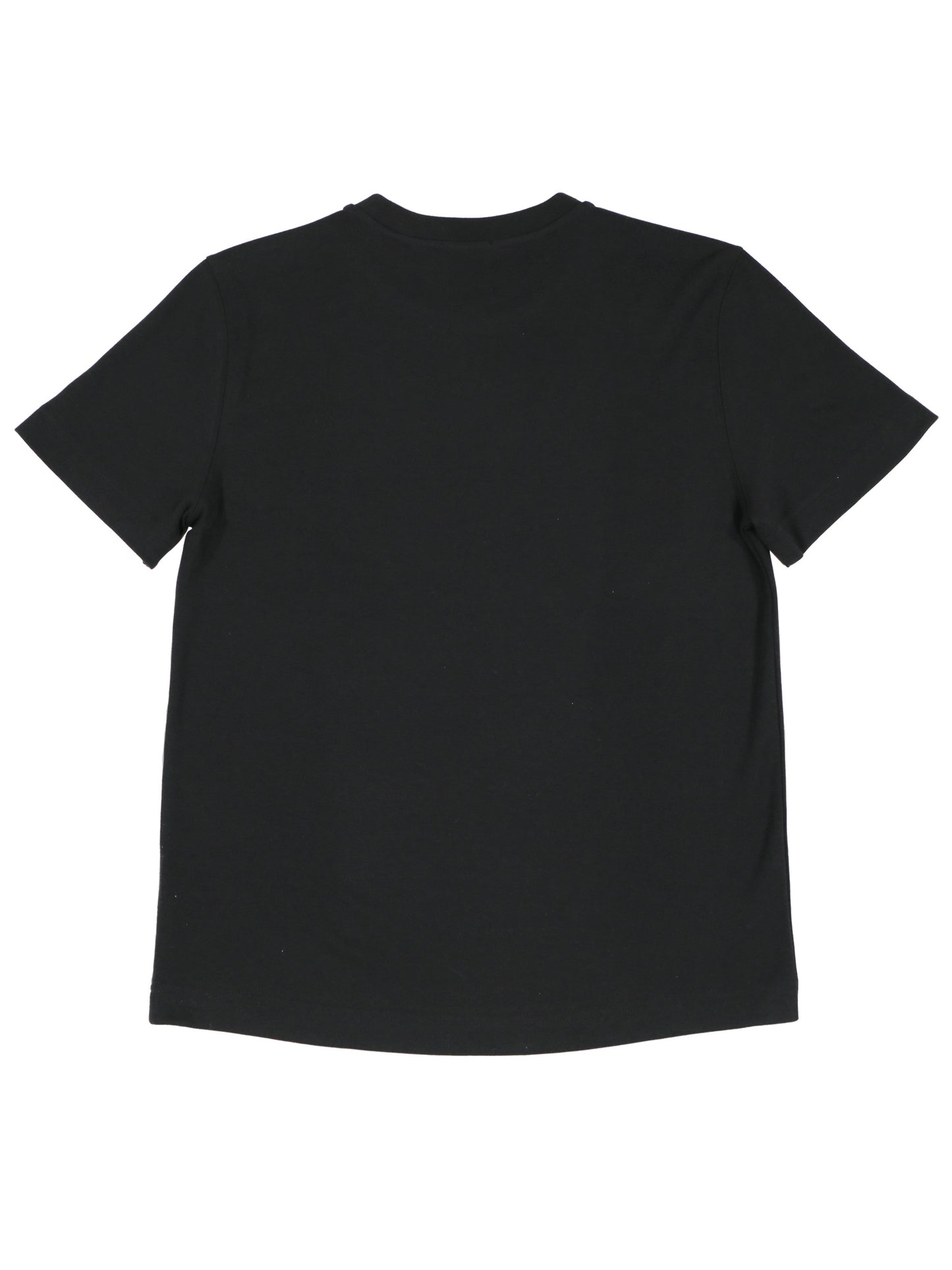 Regular Fitted Basic Tee shirts